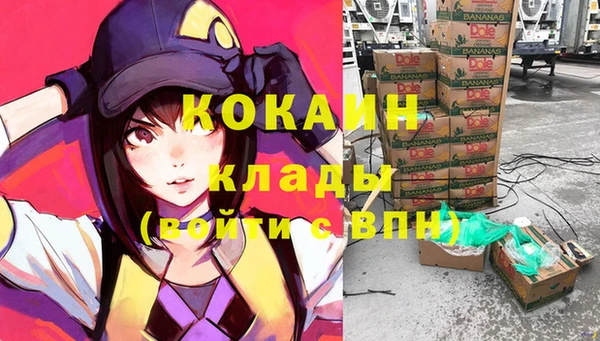 гашик Алзамай