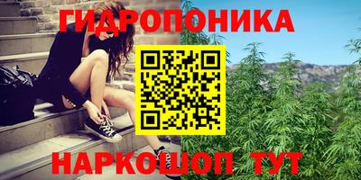 бошки Канаш