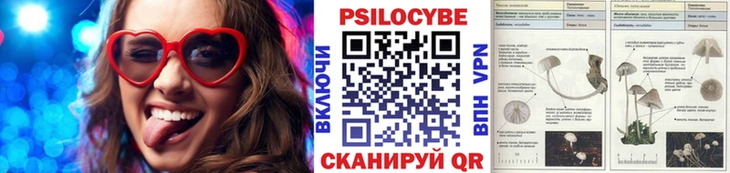 ссылка на мегу ссылка  закладка  Уссурийск  Псилоцибиновые грибы Cubensis 