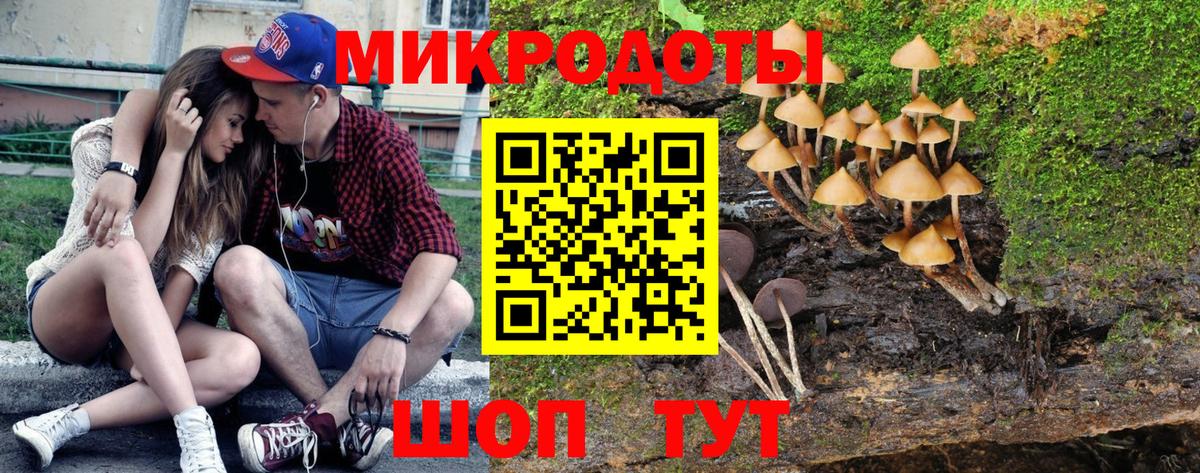 Псилоцибиновые грибы Cubensis  Вход с VPN  Уссурийск 